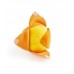 Hape Toddler Fruit Basket ตะกร้าผลไม้สำหรับหนูน้อย